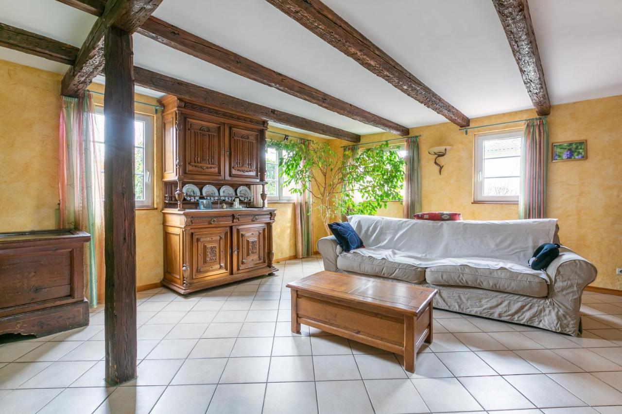 L'Audacieuse Villa Eckbolsheim Buitenkant foto